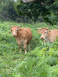Photo n°33 de Viande & Chef à Paris (Boucherie-charcuterie)