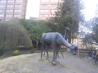 Photos of Plaza Bolivia