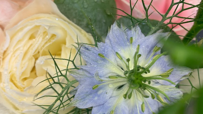 RR Flowers & Balloons photo 3