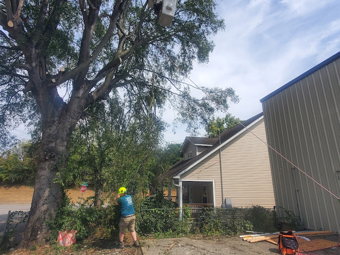 CUT-BY-US TREE SERVICE