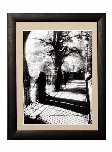 Tony Griffiths Photoframes Gallery - United Kingdom