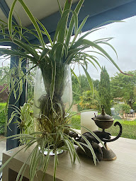 Photo n°18 de Harmonie & Son - Krystell Sonothérapeute à Saint-Paul-en-Pareds (Centre de bien-être)