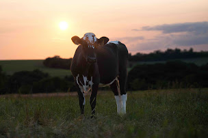 Photo n°8 de Ferme du Kleinwald à Breidenbach (Ferme)
