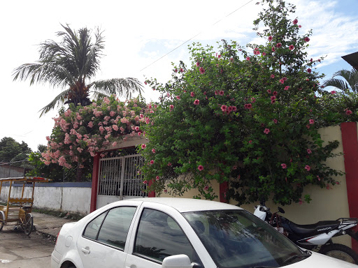 Colegio Harmon White - Thumbnail
