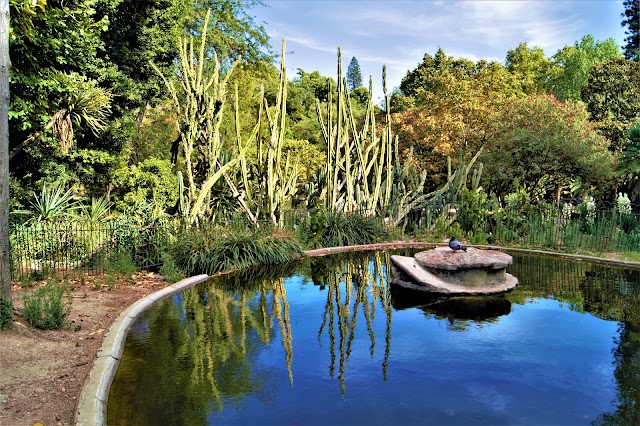 Jardim da Estrela