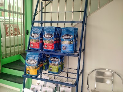 Photos of Pet veterinary help