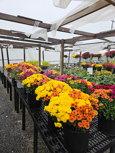 Country Garden Center Gallery - United States