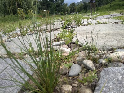 Photos of Centenery Childrens Park