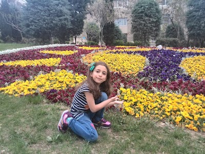 Photos of Kambiz Park