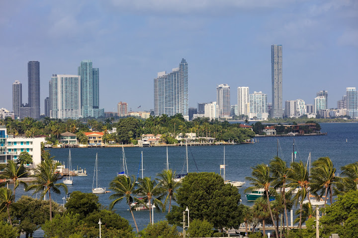Kimpton Hotel Palomar South Beach by null
