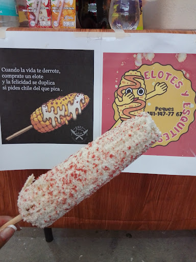 ELOTES PEQUES - Visual