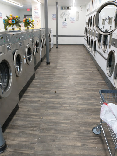 Pirate Coin Laundry/Stinky Socks Too Gallery - United States