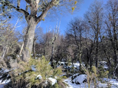 Photos of El Bolson