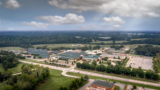 Auburn University College Of Veterinary Medicine