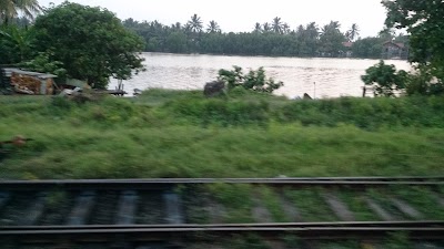 Photos of Palaviya Railway Station