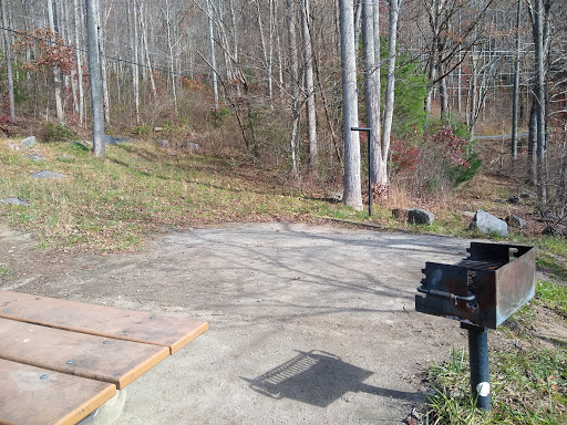 Forest Service Campsite P1 - Thumbnail