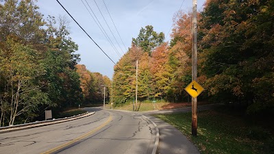 Photos of Wright State University