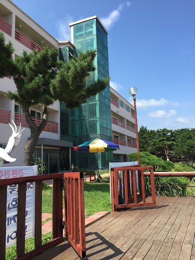 Photos of 화진포콘도