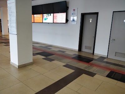 university
