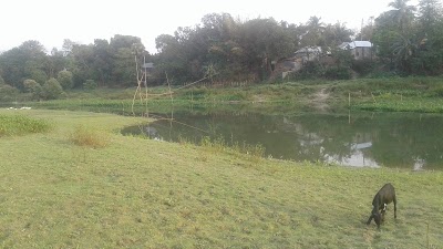Photos of West Alipur Mosque