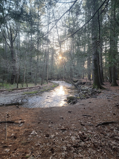 Robert Frost Trail - Thumbnail