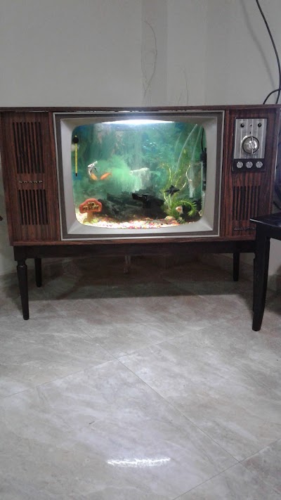 Photos of Acuario La Union