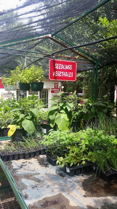 Photos of Anchor Nurseries