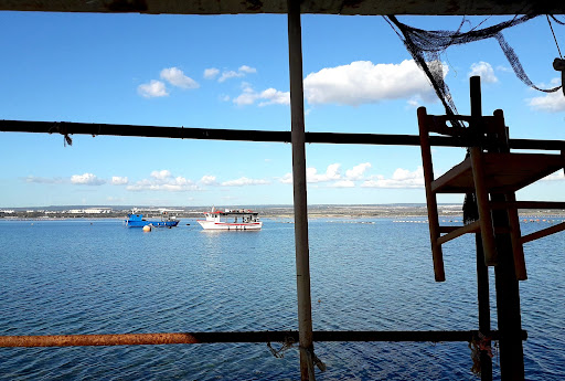 Parco naturale regionale "Mar Piccolo" - Thumbnail