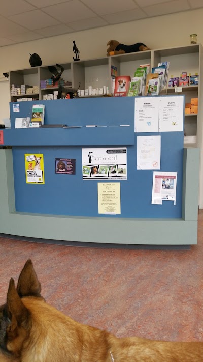 Photos of Dierenkliniek Noord Nederland