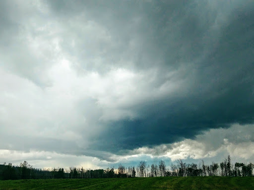 The Horse Pasture Gallery - Canada