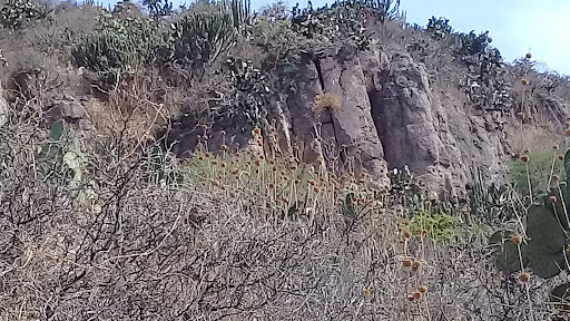 Sendero Para subir al cerro , Zona 3 Asadero Gallery - Mexico