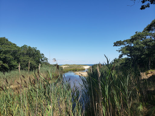 Fresh Pond Park, Amagansett - Thumbnail
