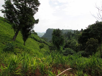 Photos of Harmoon Para,Ruma,Bandarban,Bangladesh