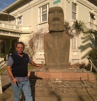 Photos of Museo Fonck Park
