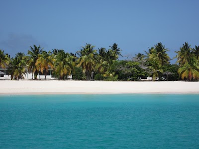 Photos of Princess Diana Beach
