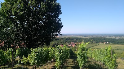 Photos of Guest House Blažević