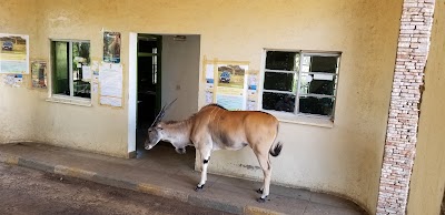 Photos of Massai Mara National Park Gate