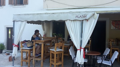Photos of Novigrad boat tours