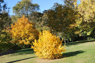 Photo n°14 de Domaine La Bastide à Cleyrac (Chambre d'hôtes)