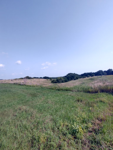 Fairview Wildlife Complex - Visual