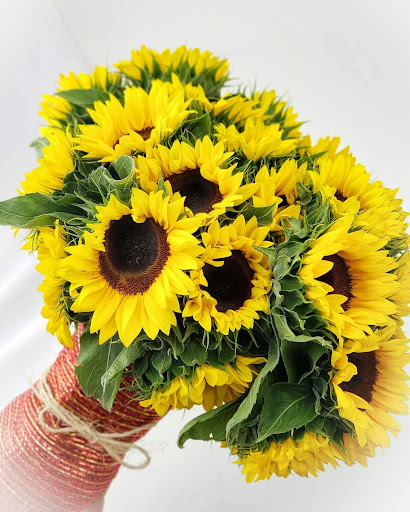 Florería y Floristería Ilusión