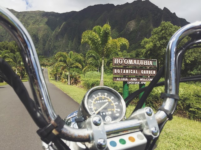 Ho'omaluhia Botanical Garden