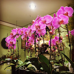 Photo n°19 de La Roseraie Fleuriste à Paris (Prestataire de mariage)