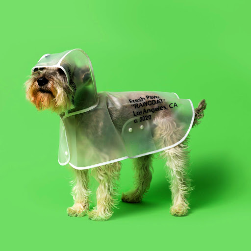 PetsandCo - Visual