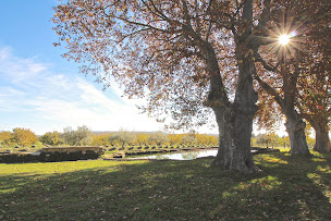 Photo n°9 de Rohart Immobilier à Avignon (Agence de location de maisons de vacances)