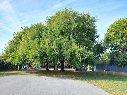 Parco del Borgo Nuovo - Thumbnail