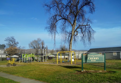 Cherry Park - Visual