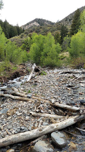 Salt Creek Canyon Trail Falls - Thumbnail