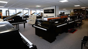 Photo n°9 de Desevedavy Pianos | Spécialiste du piano acoustique et numérique à Orvault (Réparateur et accordeur de piano)