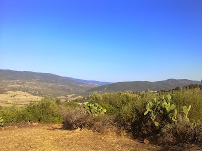 park